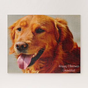 Irish Setter Dog. Jigsaw Puzzle