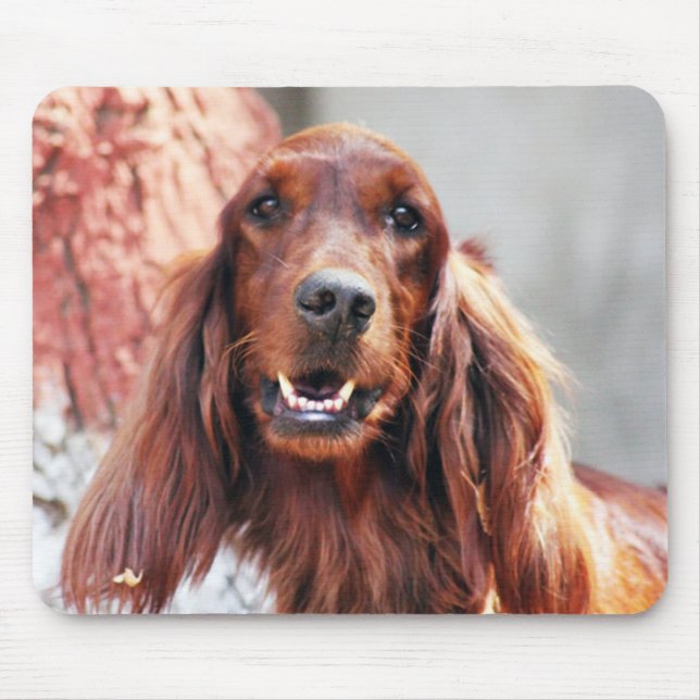 Irish Setter Dog Mouse Pad (Front)