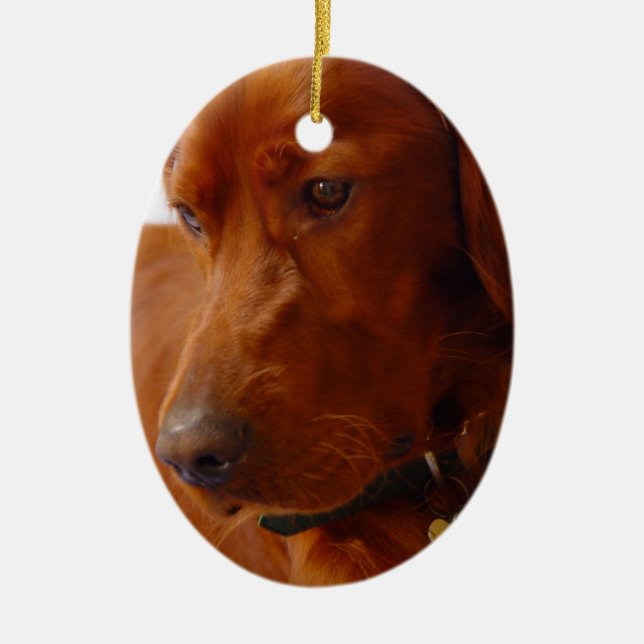 Irish Setter Dog Ornament (Front)