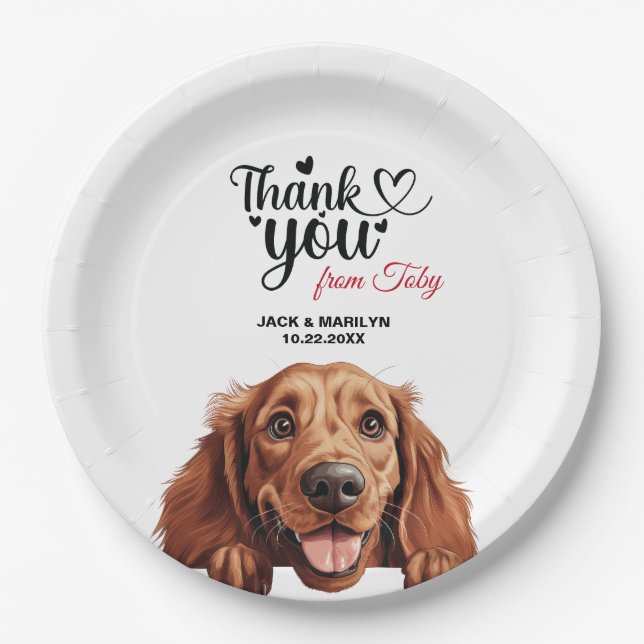 Irish Setter Dog Paper Plate (Front)