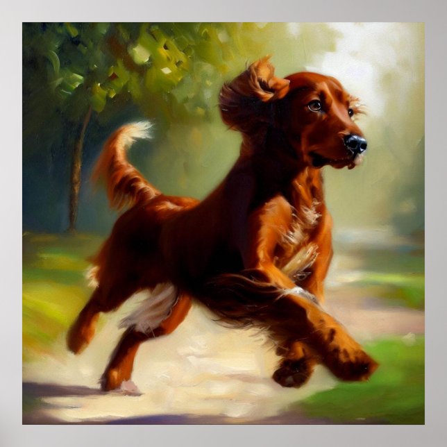 Irish Setter Dog Poster (Front)