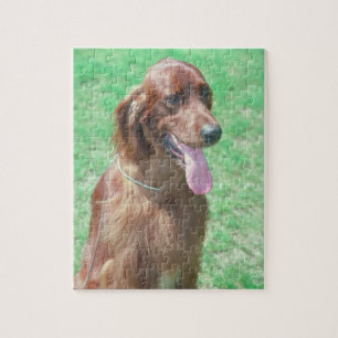 Irish Setter Dog Puzzle