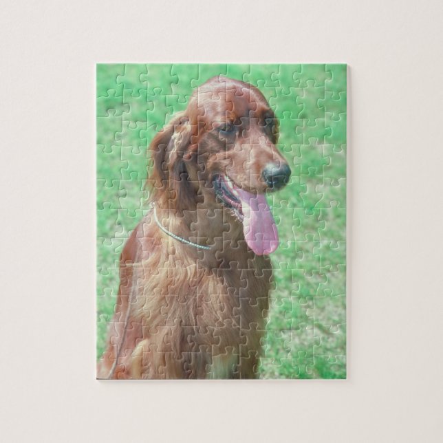 Irish Setter Dog Puzzle (Vertical)