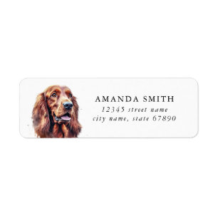 Irish Setter Dog Return Address Labels