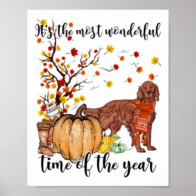 Irish Setter Fall Pumpkins Autumn Leaf Tree  Poster (Front)