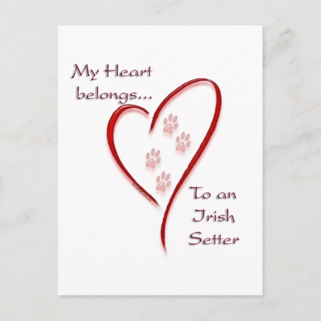 Irish Setter Heart Belongs Postcard (Front)