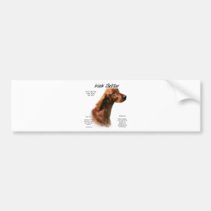Irish Setter History Design Bumper Sticker