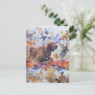 Irish Setter hunting  Postcard