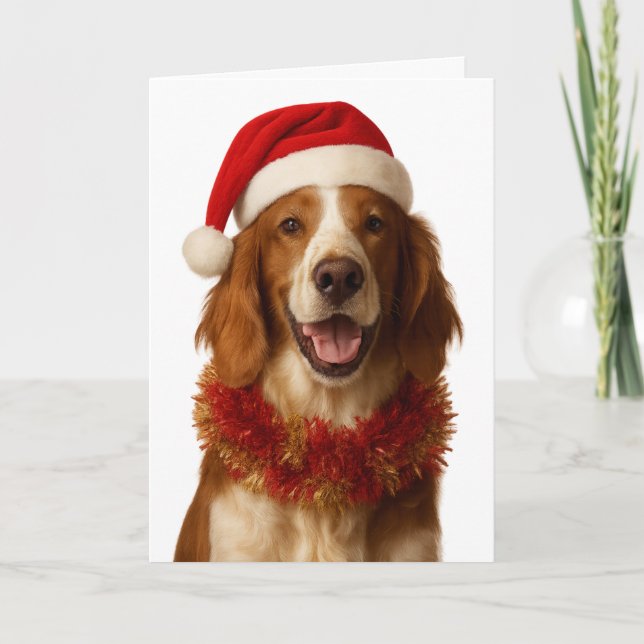 Irish Setter in a Santa hat Christmas card (Front)
