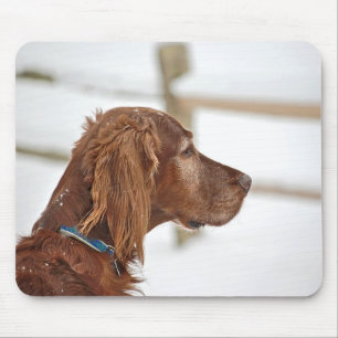 Irish Setter in snow Mouse Pad