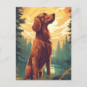 Irish Setter in the forest during sunset Postcard
