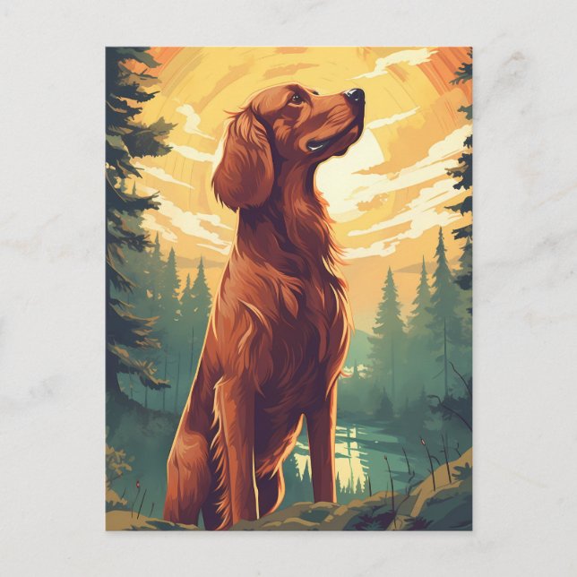 Irish Setter in the forest during sunset Postcard (Front)