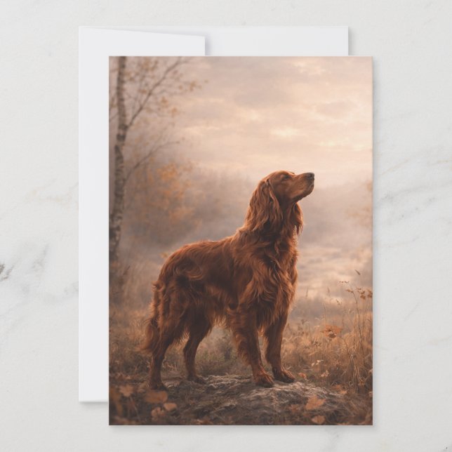 Irish Setter Invitation (Front)