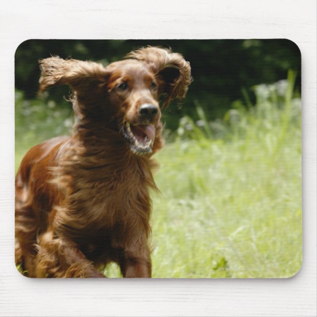 Irish Setter Mouse Pad (Front)