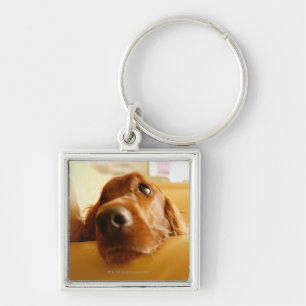 Irish Setter on sofa Key Ring