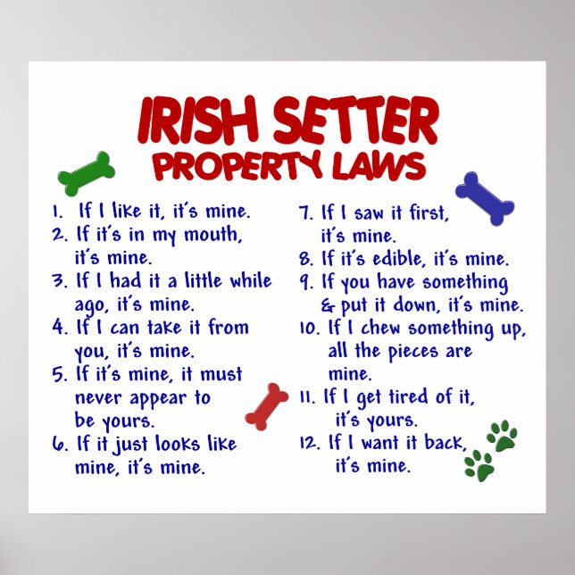 IRISH SETTER PL2 POSTER (Front)