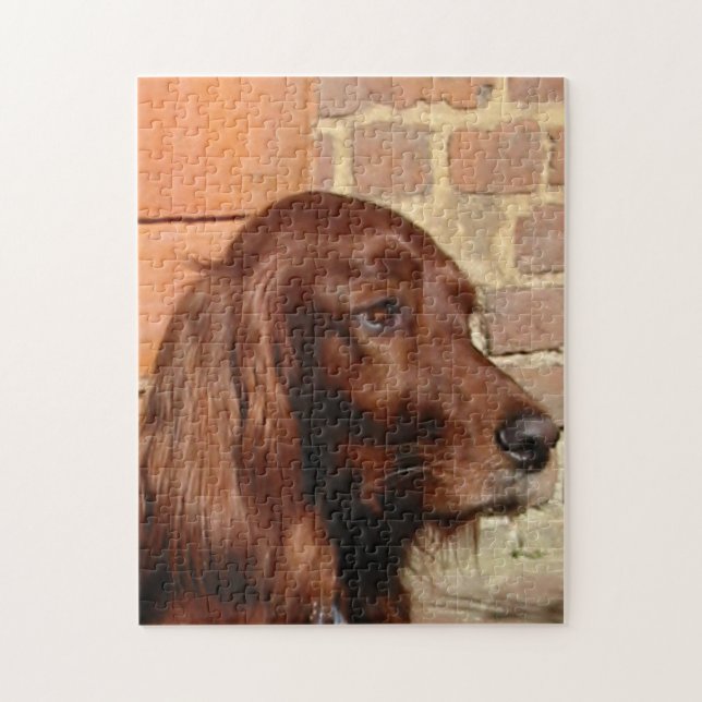 irish setter.png jigsaw puzzle (Vertical)