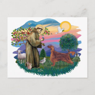 Irish Setter Postcard