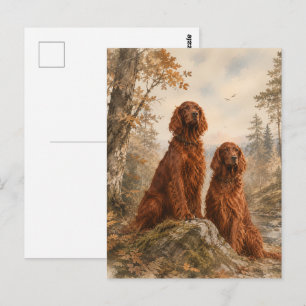Irish Setter Postcard