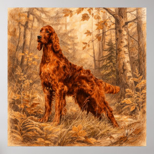 Irish  Setter,  Poster