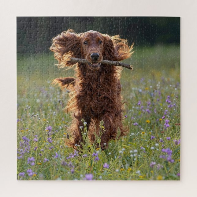 Irish Setter Running with a Stick Jigsaw Puzzle (Vertical)