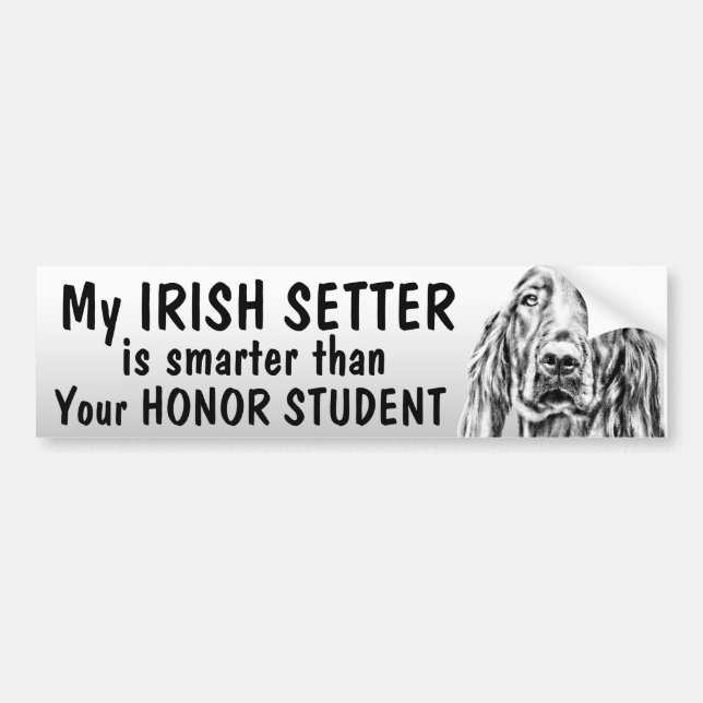 Irish Setter - Smarter than honour student - funny Bumper Sticker (Front)