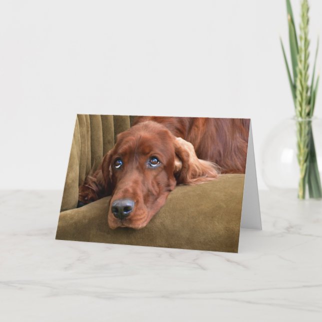 Irish Setter - Sophie Gazing Card (Front)