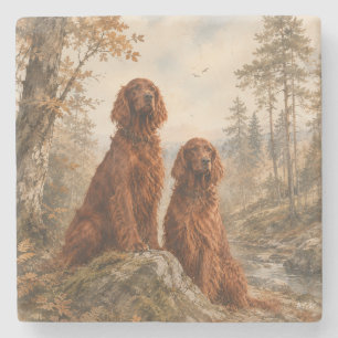  Irish Setter   Stone Coaster