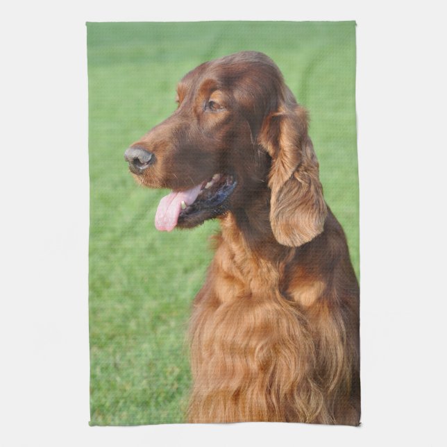 Irish Setter Tea Towel (Vertical)