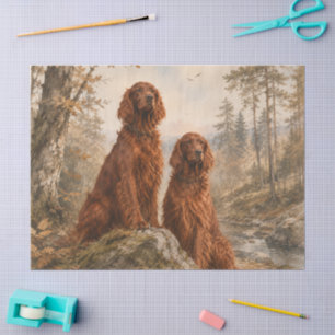 Irish Setter Tissue Paper
