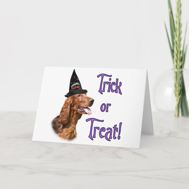 Irish Setter Trick Card (Front)