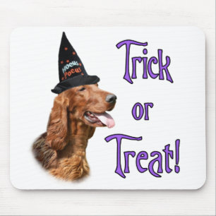 Irish Setter Trick Mouse Pad