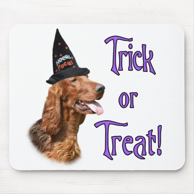 Irish Setter Trick Mouse Pad (Front)