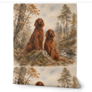  Irish Setter   Wallpaper