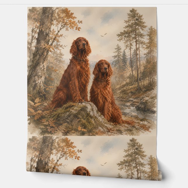  Irish Setter   Wallpaper (Unrolling)