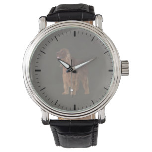 Irish Setter Watch