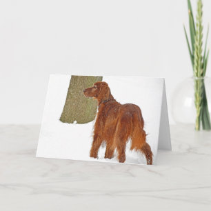 Irish Setter winter Birthday Card