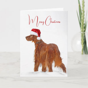 Irish Setter With Christmas Hat Card