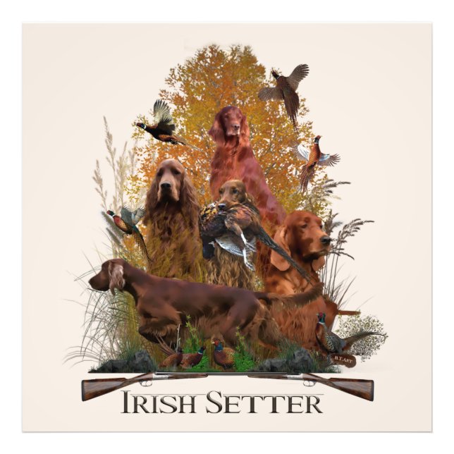 Irish Setter with pheasant     Photo Print (Front)