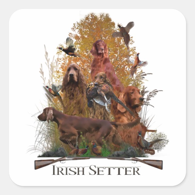 Irish Setter with pheasant       Square Sticker (Front)
