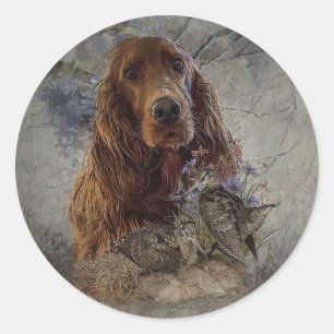 Irish setter with woodcock     classic round sticker