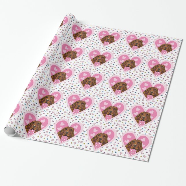 IRISH SETTER WRAPPING PAPER (Unrolled)