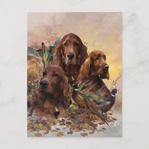  Irish Setters with Pheasants - Passion Hunt Postcard