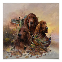Irish Setters with Pheasants - Passion Hunt
