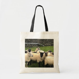Irish sheep farm tote