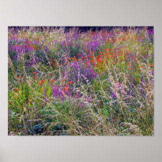 Irish Summer Meadow Poster