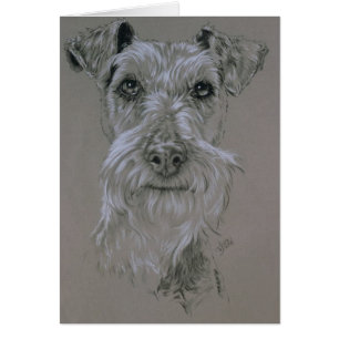 Irish Terrier