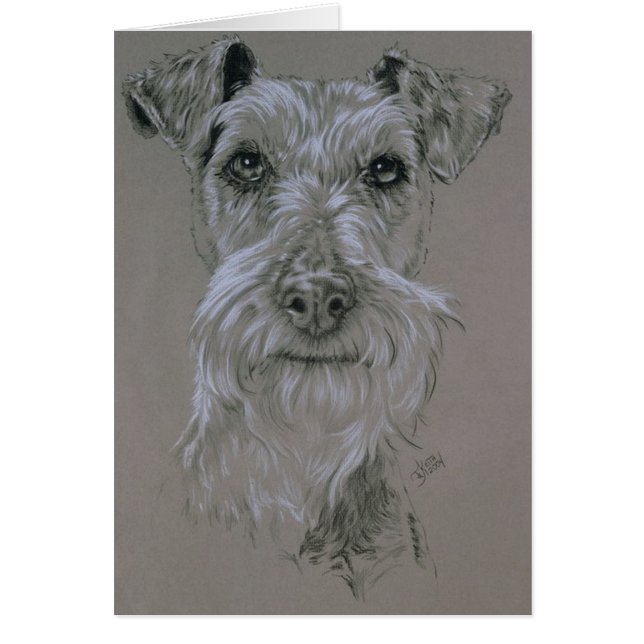 Irish Terrier (Front)