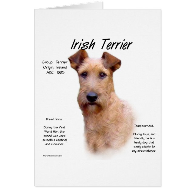 Irish Terrier History Design (Front)