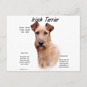 Irish Terrier History Design Postcard